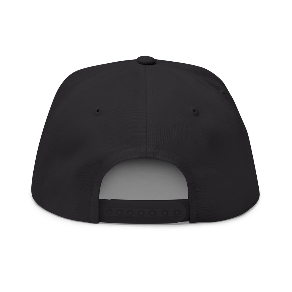 Flat Bill Cap — "Not Your Daddy's Bagger" Embroidered Snapback Hat