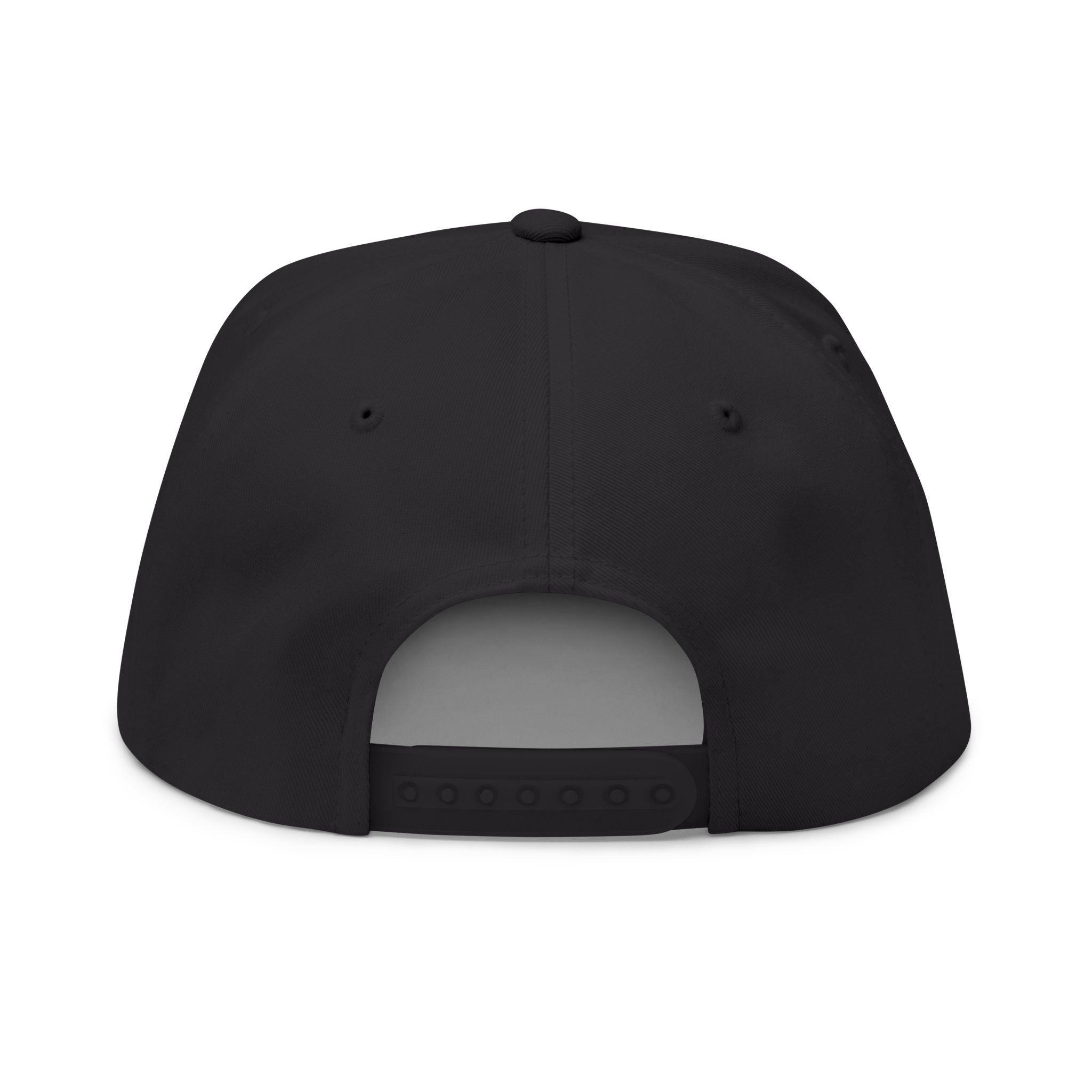 Flat Bill Cap — "Not Your Daddy's Bagger" Embroidered Snapback Hat